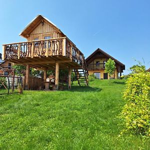 Sovica Holiday Home & Tree House Sveti Jurij ob Scavnici Exterior photo