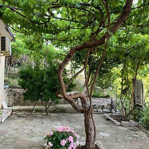 Isaraj Guest House Gjirokastër Exterior photo