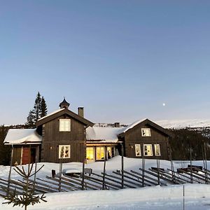 Luxurious, Well-Equipped And Modern Cabin By The Cross-Country Ski Trails Eggedal Exterior photo