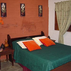 圣多明各别墅酒店 Concepción de Ataco Room photo