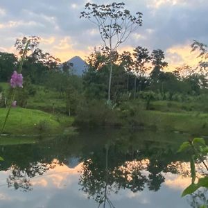 Villalobo'S Lake Cosy House La Fortuna Exterior photo