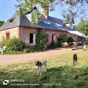 Une Chambre Dans La Verdure Bordeaux-Saint-Clair Exterior photo