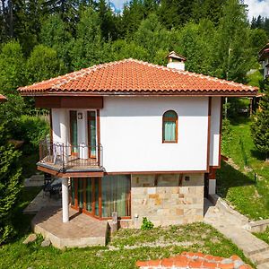 Pamporovo Cottage Savov Exterior photo