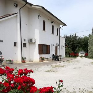 佩斯卡拉Agriturismo Il Tratturo别墅 Exterior photo