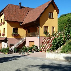 Appartement De 2 Chambres Avec Jardin Et Wifi A Bernardvillé Exterior photo