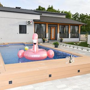 Family Friendly House With A Swimming Pool Sinj, Zagora - 21448别墅 Exterior photo