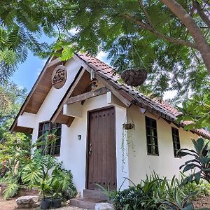 Didi Lodge - Cabana Calida Y Acogedora! Isla de Canas Exterior photo