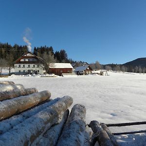 Sankt Andrä im LungauPolzhof公寓 Exterior photo