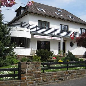 豪斯伯格博里克酒店 Rheinbreitbach Exterior photo