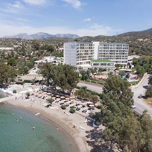 Evia Riviera Resort 埃雷特里亚 Exterior photo