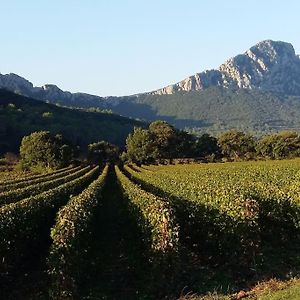 Cazilhac Gite Entre Cevennes Et Mediterranee别墅 Exterior photo