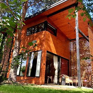 A Modern House In A Beautiful Location On The Edge Of The Forest Dlugosiodlo Exterior photo