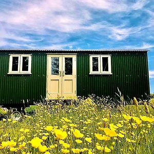 Bathsheba, Luxurious Shepherds Hut Set In Todber A Hamlet Set In Thomas Hardy'S Iconic Rural Dorset Exterior photo