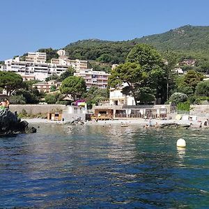 Charmant Studio Climatise Avec Parking, Au Coeur De Pietranera, Plage A 500M, Bastia A 2Km Ville-di-Pietrabugno Exterior photo