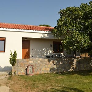 Villa Potamia 萨莫色雷斯岛 Exterior photo
