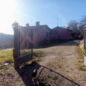 Penna in TeverinaL'Albero Degli Struzzi别墅 Exterior photo