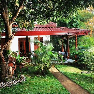 Keerthi Homestay 锡吉里亚 Exterior photo