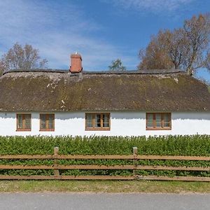 Historic Thatched Cottage In A Quiet Location 塔廷格 Exterior photo