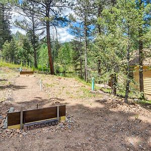 Conifer Log Cabin Rental With Private Hot Tub And Pond Exterior photo