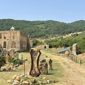 CampomaggioreHouse In Basilicata Dolomites Hidden Gem Of Italy别墅 Exterior photo