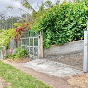 Chalet Da Nogueira, A Home In Madeira 蓬他达维托亚 Exterior photo