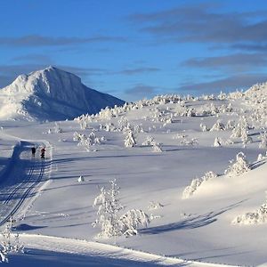 Peaceful Oasis. Panoramic Forest- & Mountain View. Sauna. Beitostolen Exterior photo