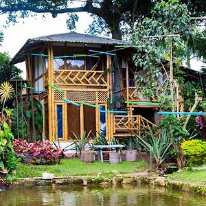 El Michu Casa Del Arbol, Romantico, Piscina, En Chinauta, El Mejor Clima酒店 Exterior photo