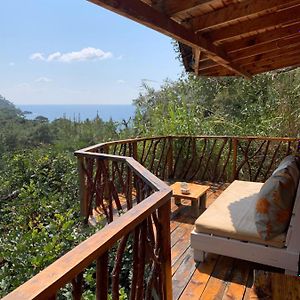 Bamboo Bungalow With Sea View In Kabak Bay, Oludeniz 费特希耶 Exterior photo