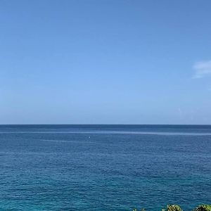 内格里尔Irie Vibes Ocean View别墅 Exterior photo