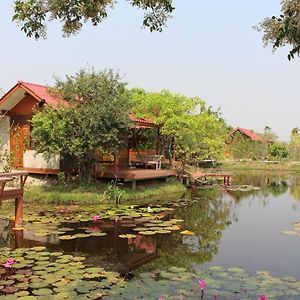 Baan Suan Mulberry Farmstay 华欣 Exterior photo