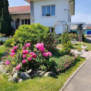 GelosChambre D'Hotes Les Hortensias住宿加早餐旅馆 Exterior photo