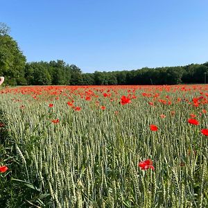 Mareuil-sur-BelleCharmant Gite 6P. Perigord Vert别墅 Exterior photo