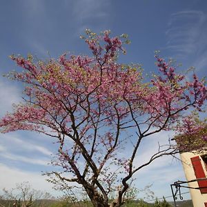 Saint-André-de-RoquepertuisGite Roses别墅 Exterior photo