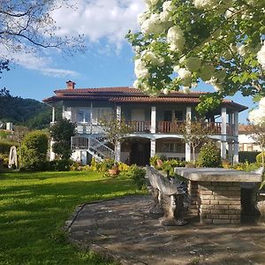 Villa Azzurrina Filettole Exterior photo