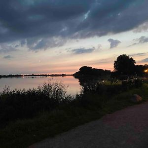 Natur Erleben An Der Elbe In 盖斯特哈赫特 Exterior photo