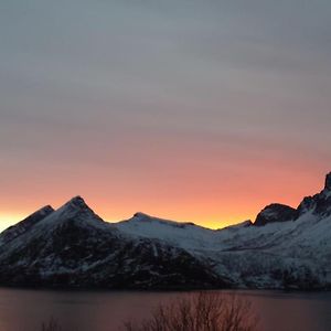 Senja, Husoy I Senja. Leilighet Med Utsikt Over Fjord Og Fjell Tofta Exterior photo