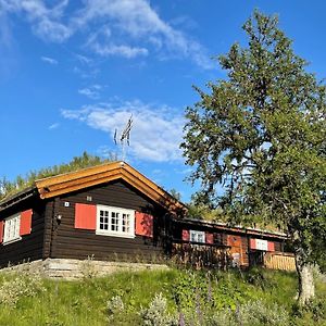 Lunde Elveseter - Log Cabin With An Amazing View别墅 Exterior photo