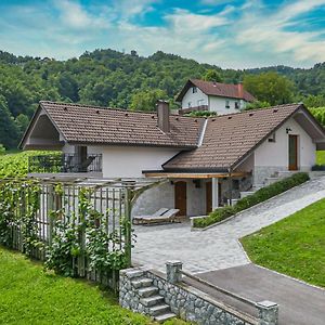 Vineyard Cottage Radovlja With Sauna - Happy Rentals 斯玛杰克托莱塞 Exterior photo