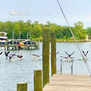 Waterfront Home With Boat Dock & Study Weems Exterior photo