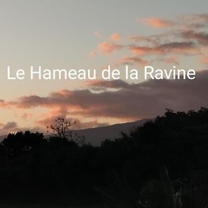 圣皮埃尔Le Hameau De La Ravine别墅 Exterior photo