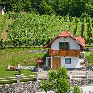 Vineyard Cottage Krivic - Happy Rentals 特贝尔诺 Exterior photo