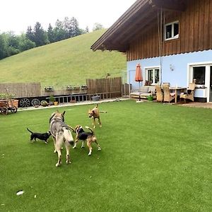 WegscheidUrlaub Mit Hund Im Salzburger Land公寓 Exterior photo