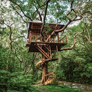 Treeful Treehouse Sustainable Resort 名户 Exterior photo