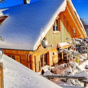 Luxury Chalet Near The Klippitztorl Ski Area Exterior photo