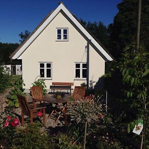 Ferienhaus Fromm-Keine Anglerunterkunft Neuenkirchen  Exterior photo