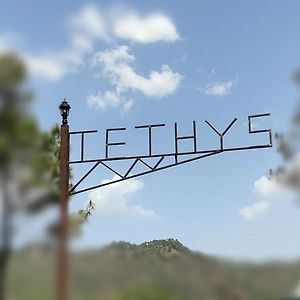 卡绍利 Tethys Himalaya酒店 Exterior photo