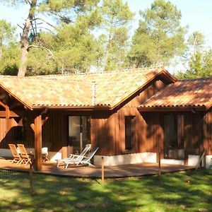 Gite En Foret Landaise Avec Jacuzzi D'Interieur Pissos Exterior photo