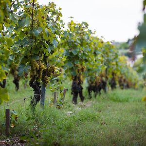 Gite Au Milieu Des Vignes Prignac-et-Marcamps Exterior photo