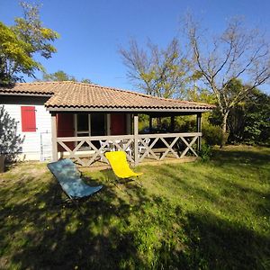 Chalet Climatise Avec Piscine- Detente Au Coeur De La Nature Ardechoise Gravieres Exterior photo