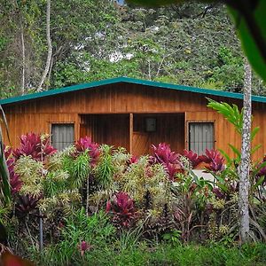 Autentica Cabins La Fortuna Exterior photo